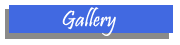 Gallery Tab